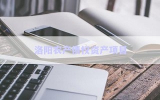 洛陽農產債權資產項目