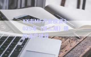 XX市MF產(chǎn)業(yè)投資2025年(第二期)債權(quán)資產(chǎn)項目 XX市MF產(chǎn)業(yè)投資2025年(第二期)債權(quán)資產(chǎn)項目