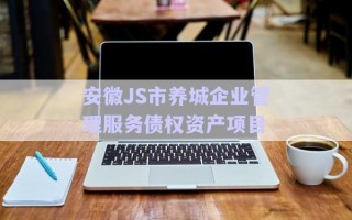 安徽JS市養(yǎng)城企業(yè)管理服務債權(quán)資產(chǎn)項目