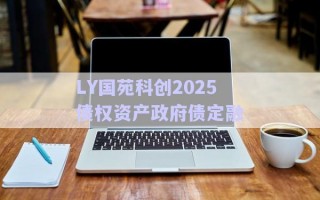 LY國苑科創(chuàng)2025債權資產(chǎn)政府債定融