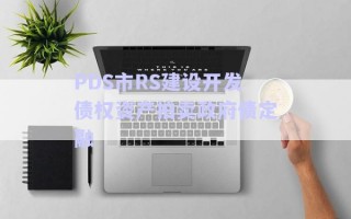 PDS市RS建設(shè)開發(fā)債權(quán)資產(chǎn)拍賣政府債定融