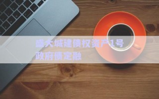 盛大城建債權資產1號政府債定融