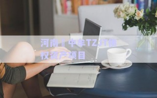 河南?中牟TZJT債權資產(chǎn)項目