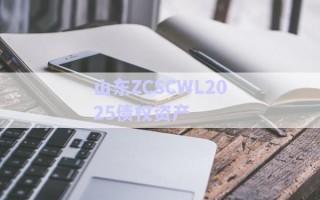 山東ZCSCWL2025債權(quán)資產(chǎn) 山東ZCSCWL2025債權(quán)資產(chǎn)