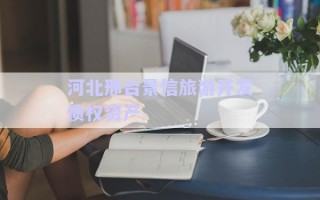 河北邢臺景信旅游開發(fā)債權資產(chǎn)