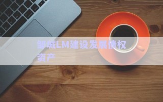 鄒城LM建設發(fā)展債權資產