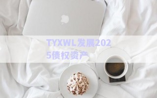 TYXWL發(fā)展2025債權資產(chǎn)