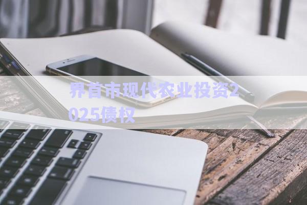 界首市現(xiàn)代農(nóng)業(yè)投資2025債權-第1張圖片-政信固收網(wǎng)