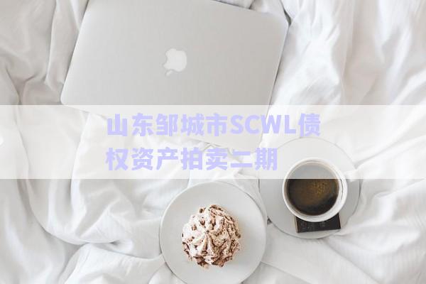 山東鄒城市SCWL債權資產(chǎn)拍賣二期-第1張圖片-政信固收網(wǎng)