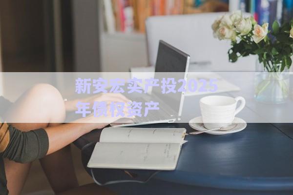 新安宏實產(chǎn)投2025年債權資產(chǎn)-第1張圖片-政信固收網(wǎng)